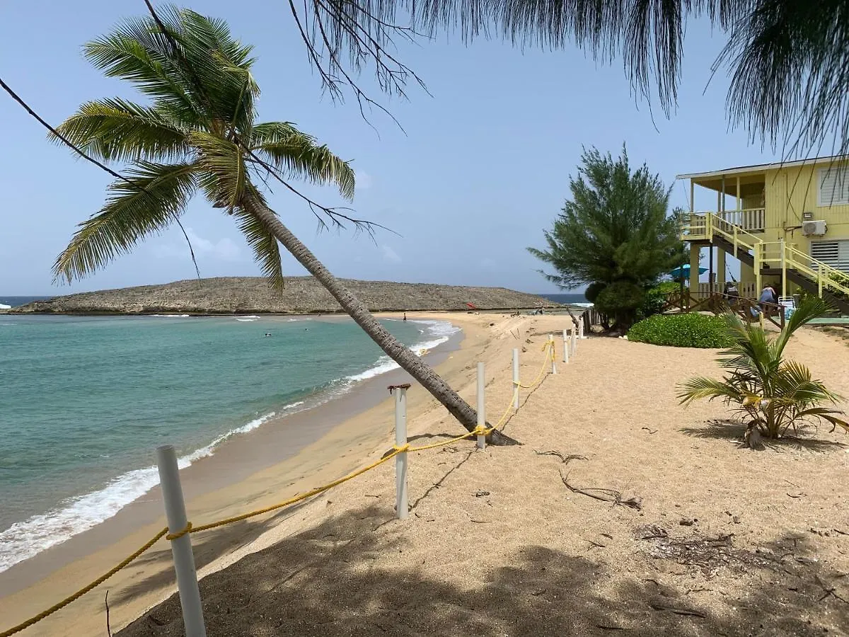 Villa Vistamar in Jobos&Private Pool Isabela 0*,  Porto Rico